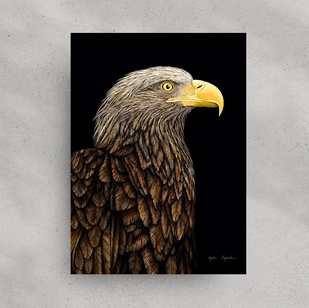30x40 kartka  bielik