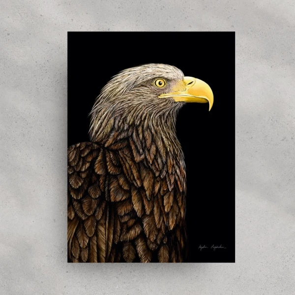 30x40 kartka  bielik