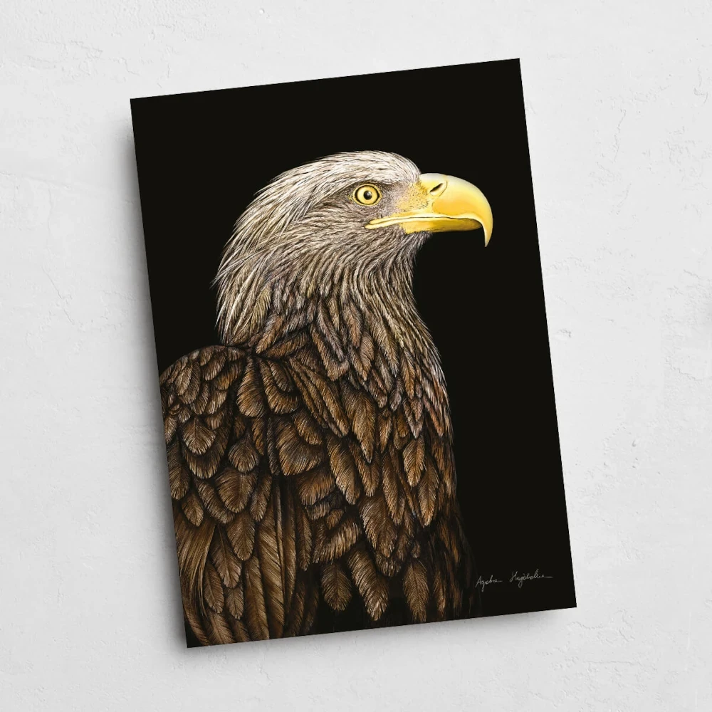 13x18 kartka bielik