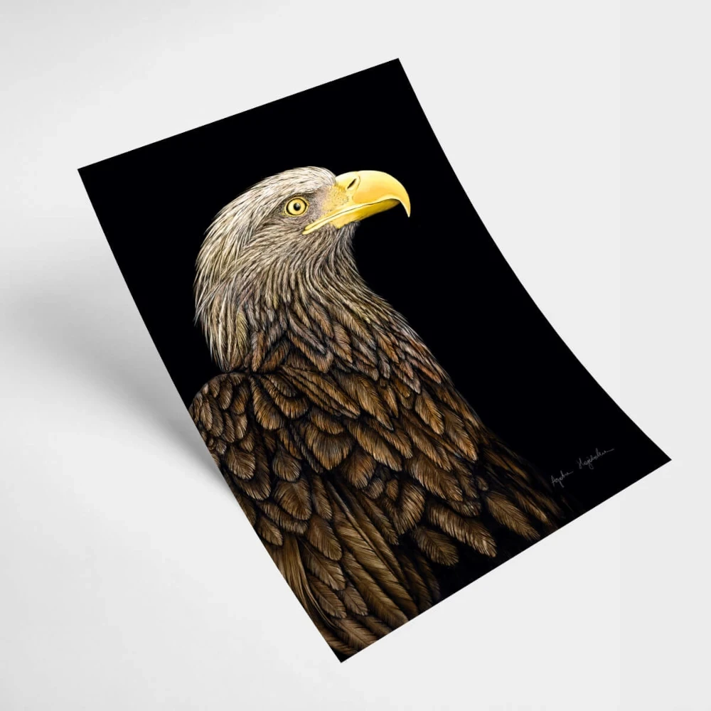 21x30 kartka bielik