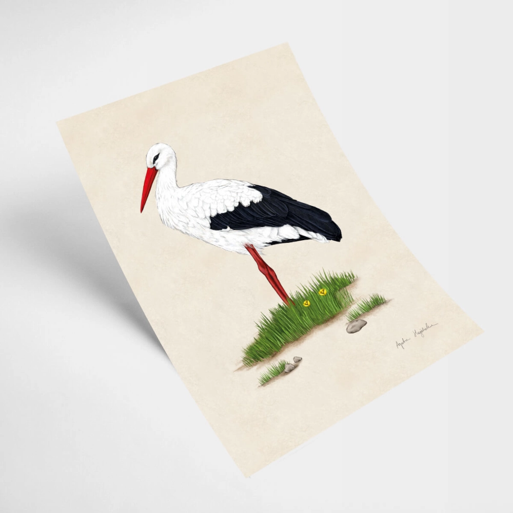 21x30 kartka 1 bocian.webp