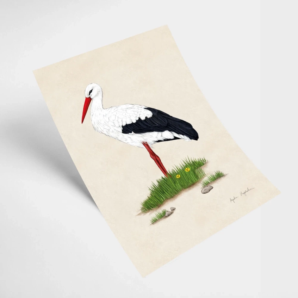 21x30 kartka 1 bocian.webp