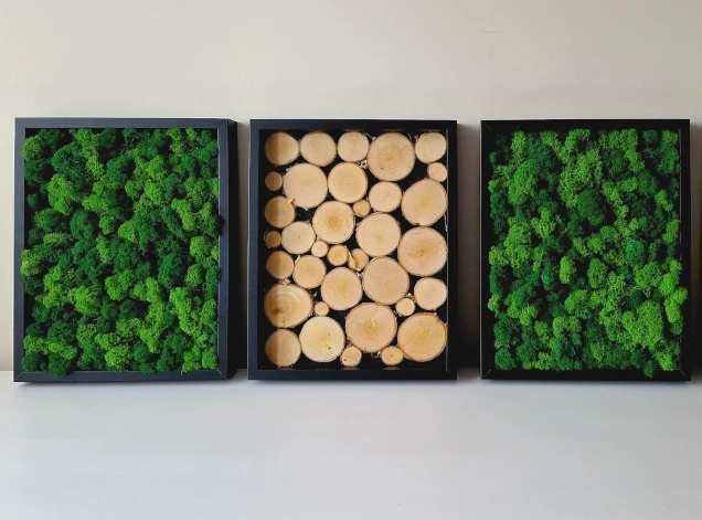 tryptyk chrobotek mieszany