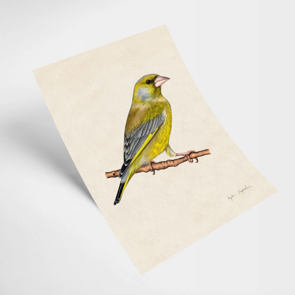 plakat dzwoniec