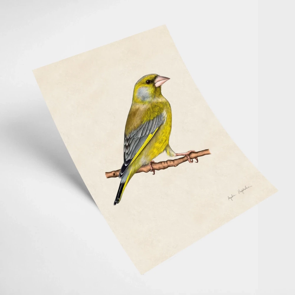 plakat dzwoniec