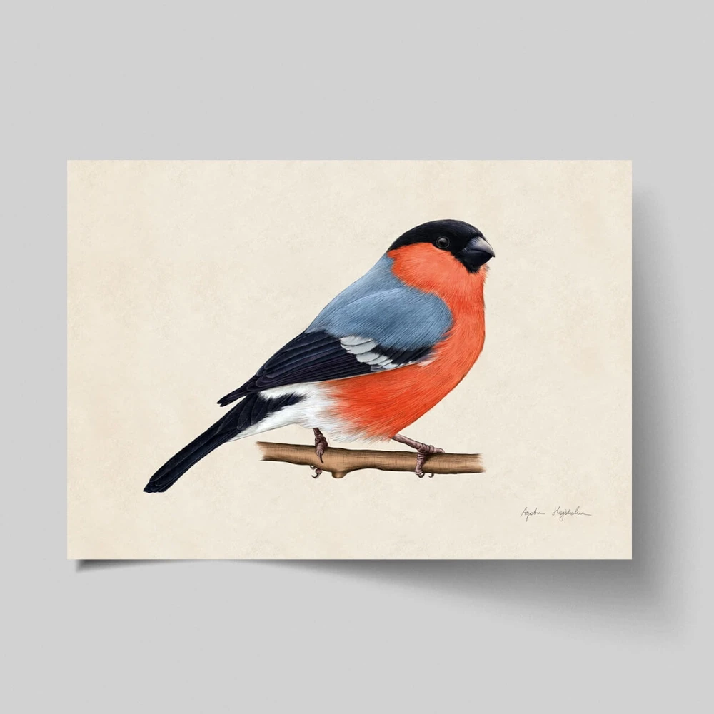 21x30 kartka 1 gil.webp