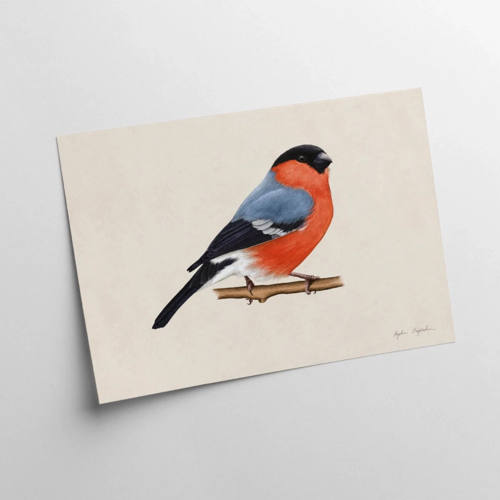 30x40 kartka 1 gil.webp