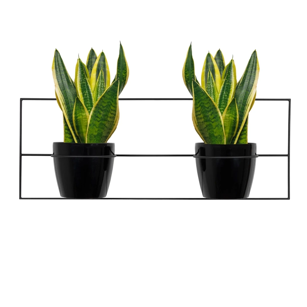 Kwietnik ścienny metalowy 2 x osłonki czarny