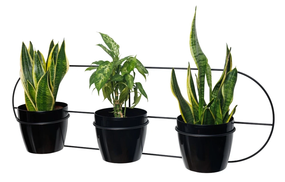 Kwietnik ścienny metalowy + osłonki potrójny czarny