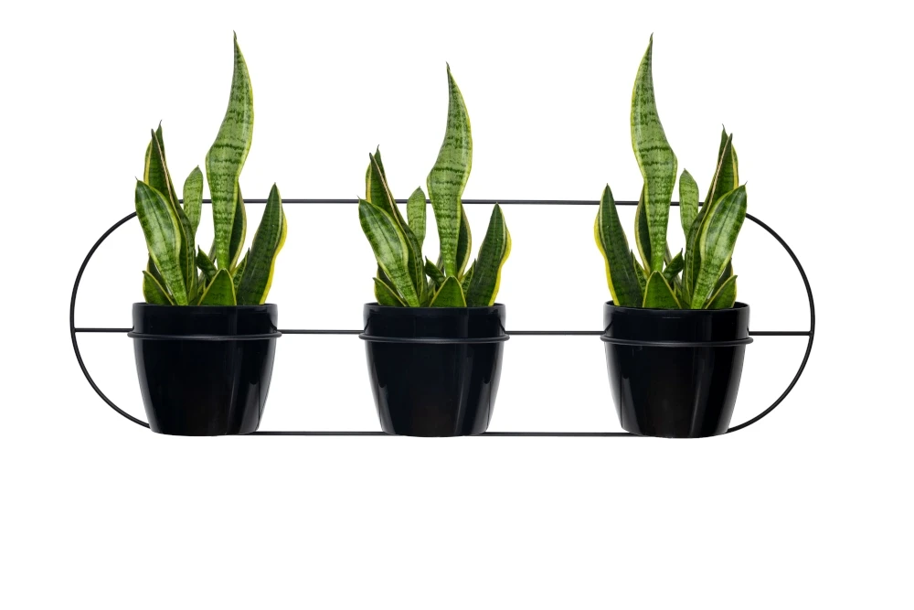 Kwietnik ścienny metalowy + osłonki potrójny czarny