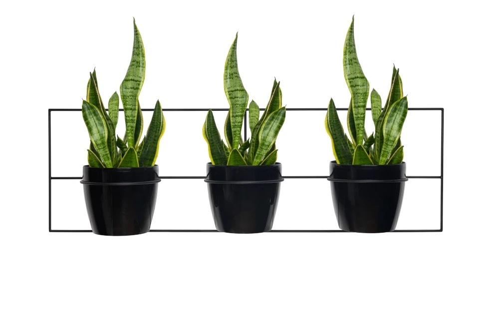 Kwietnik-scienny-metalowy-potrojny