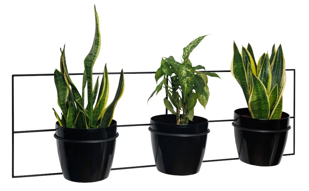 Kwietnik-scienny-metalowy-potrojny