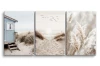20843.webp