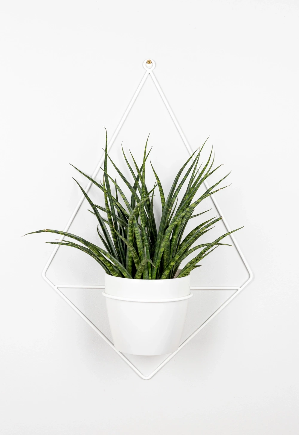 Kwietnik ścienny metalowy + osłonka Diament