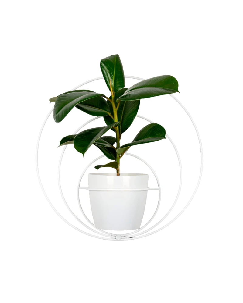 Kwietnik ścienny metalowy + osłonka Pawie Oko