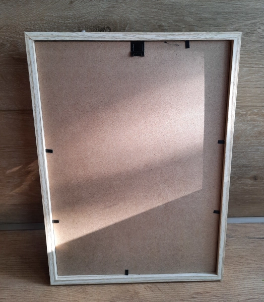 Obrazek chrobotek w ramce panel