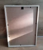 Obrazek chrobotek w ramce panel