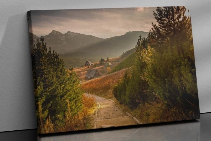 Obraz na płótnie canvas natura