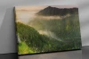 Obraz na płótnie canvas natura las