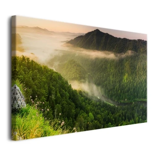 Obraz na płótnie canvas natura las