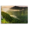 Obraz na płótnie canvas natura las