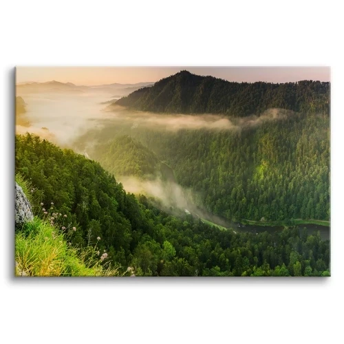 Obraz na płótnie canvas natura las