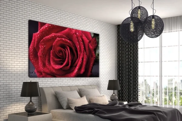 Obraz na płótnie canvas kwiat róża