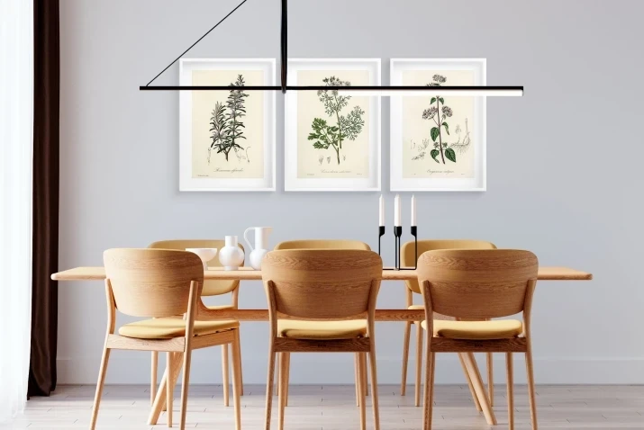 Plakaty bez ramek rośliny zielnik