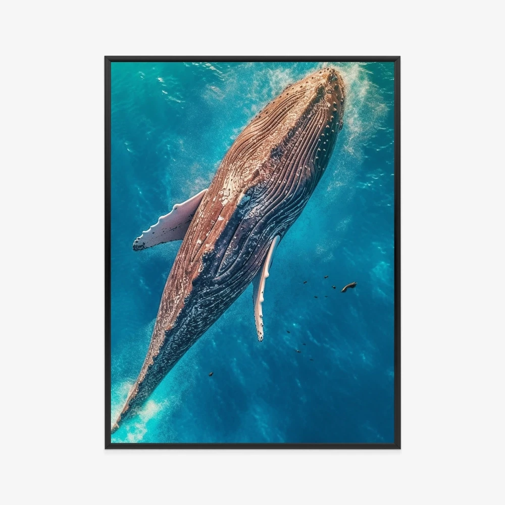 Plakat Wieloryb Morskie Stworzenia