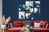 Galeria kwiaty