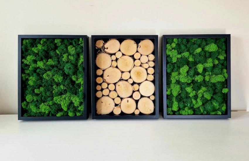 tryptyk-z-chrobotkiem