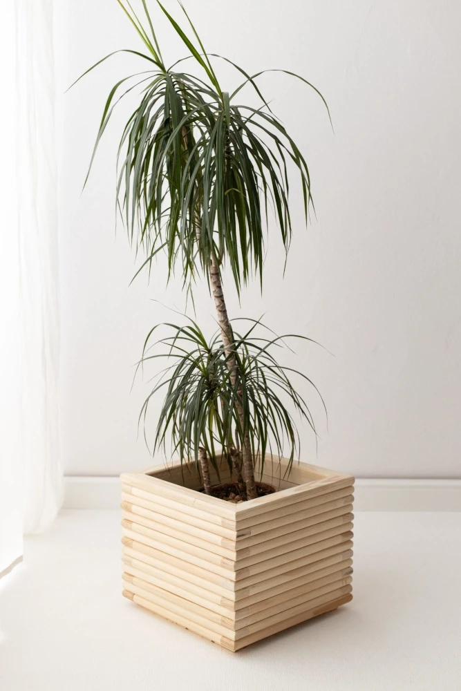 Drewniana donica osłonka Duża