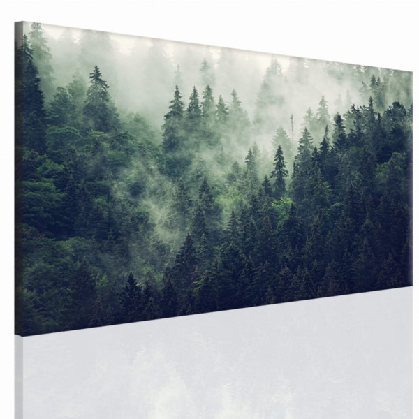 obraz canvas płótno