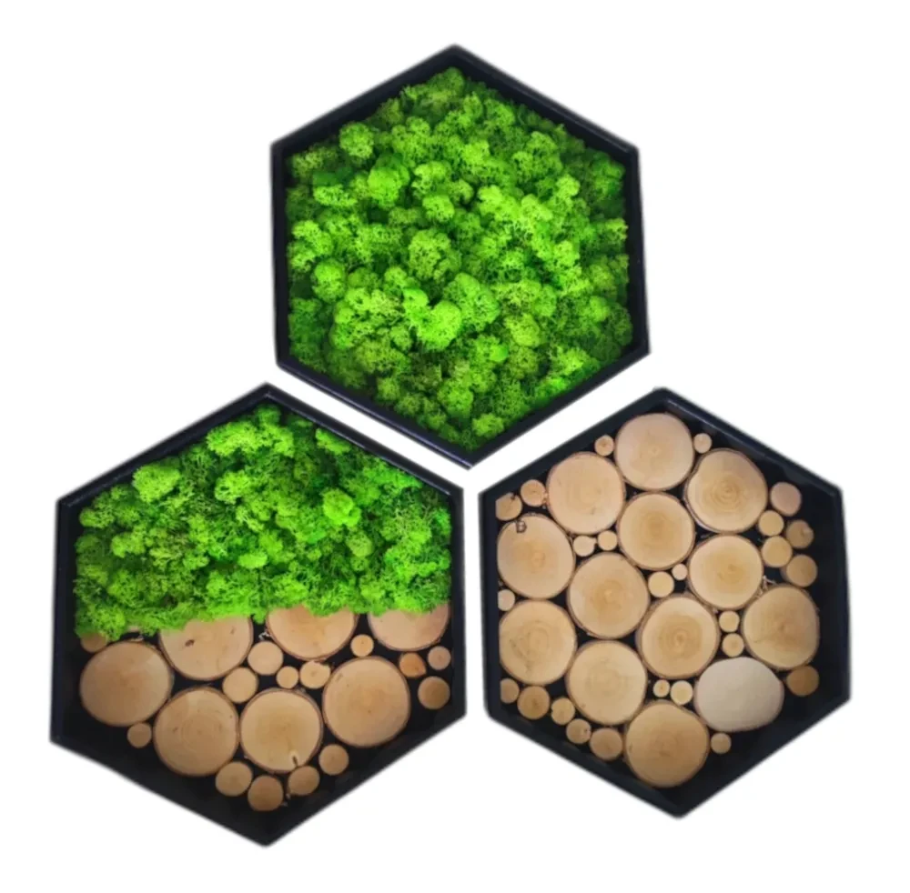 heksagon z chrobotkiem