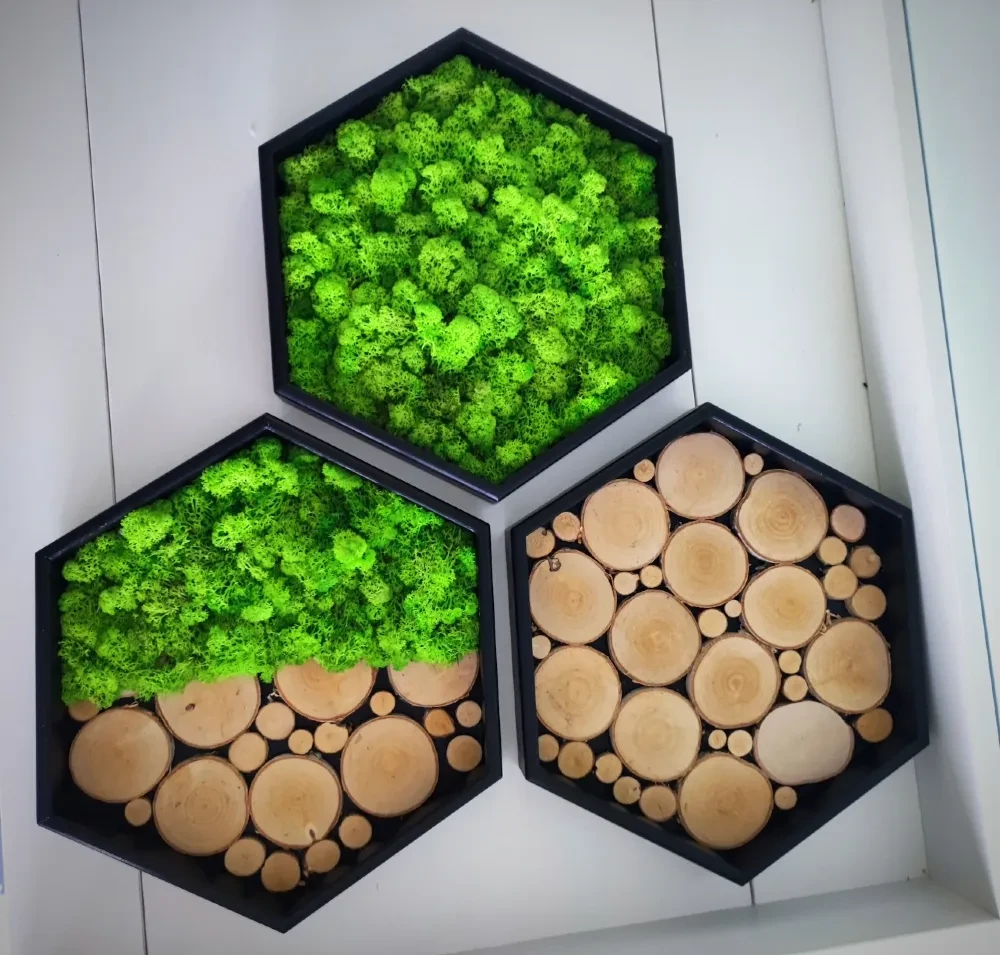 mech_chrobotek_heksagon