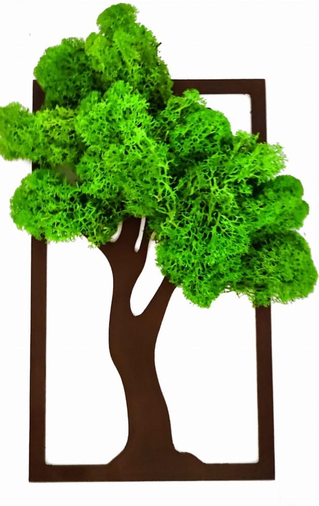 ramka drzewko - chrobotek