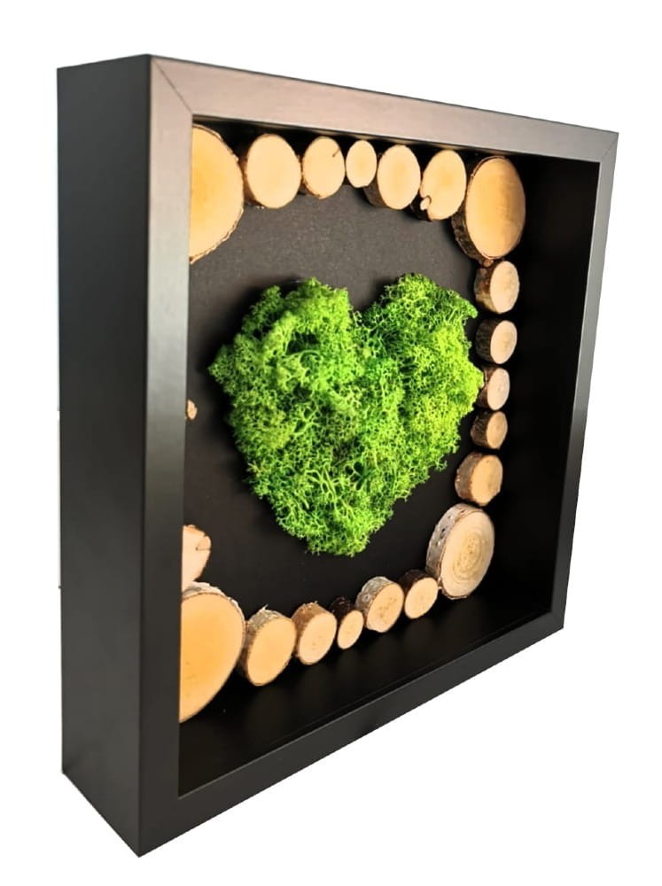 obrazek 3d z chrobotkiem