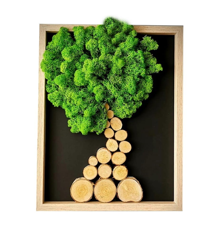 drzewko z chrobotkiem