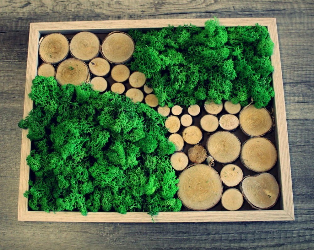 dekoracja - ramka  z chrobotkiem