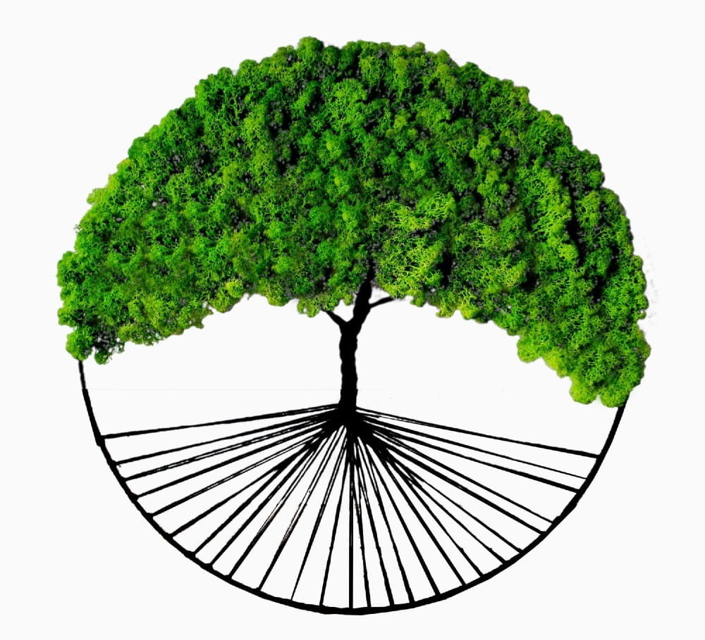 piękne drzewo mech chrobotek