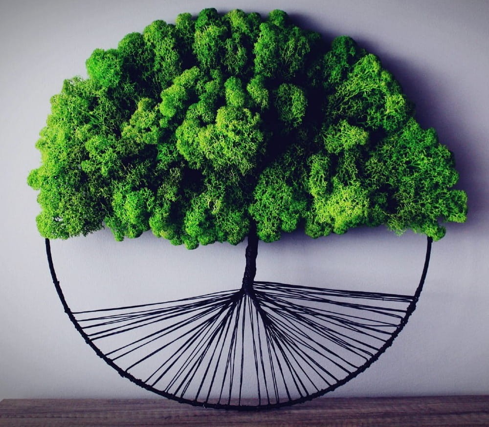 drzewo z chrobotkiem