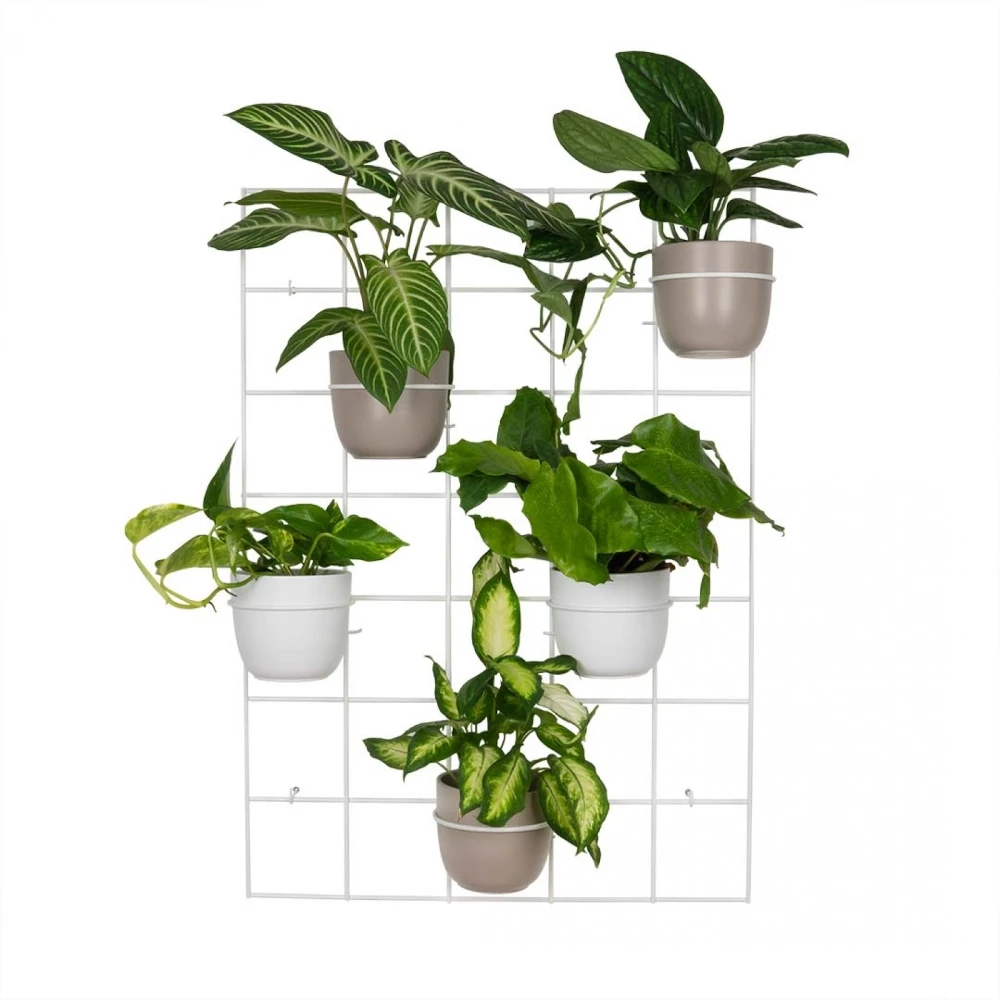 biały Kwietnik ścienny