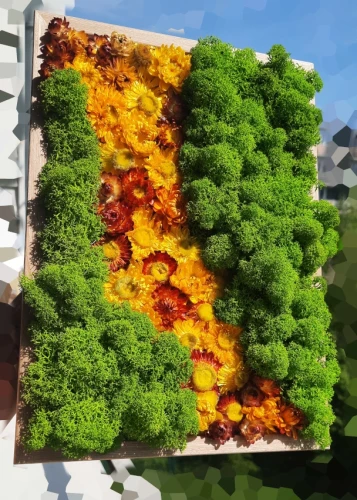 Chrobotek i kwiatki | ramka z dekoracją handmade