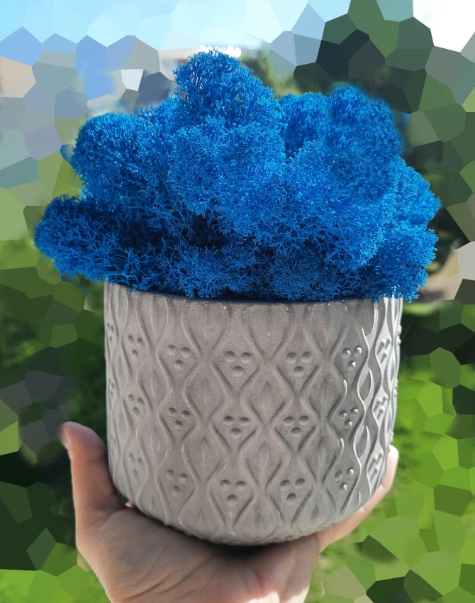 Mech chrobotek | dekoracja w doniczce | niebieski