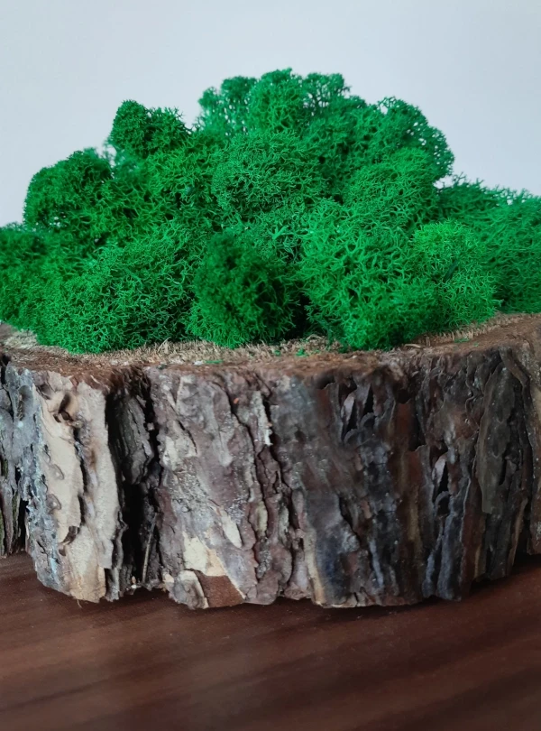 dekoracja handmade na plastrze drewna