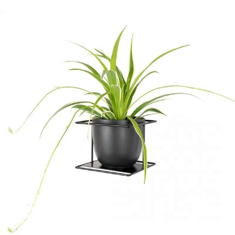 Kwietnik ścienny czarny Flora loft industrialny