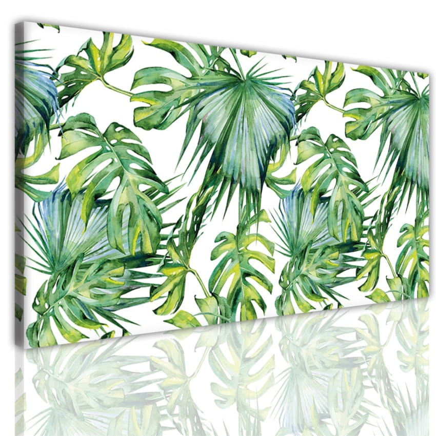 obraz canvas monstera