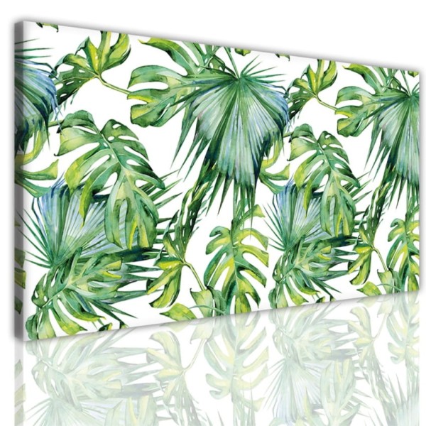 obraz canvas monstera