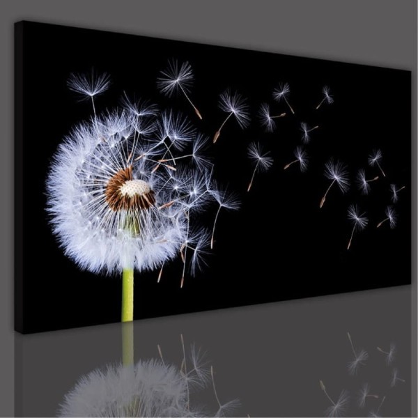 obraz canvas dmuchawiec