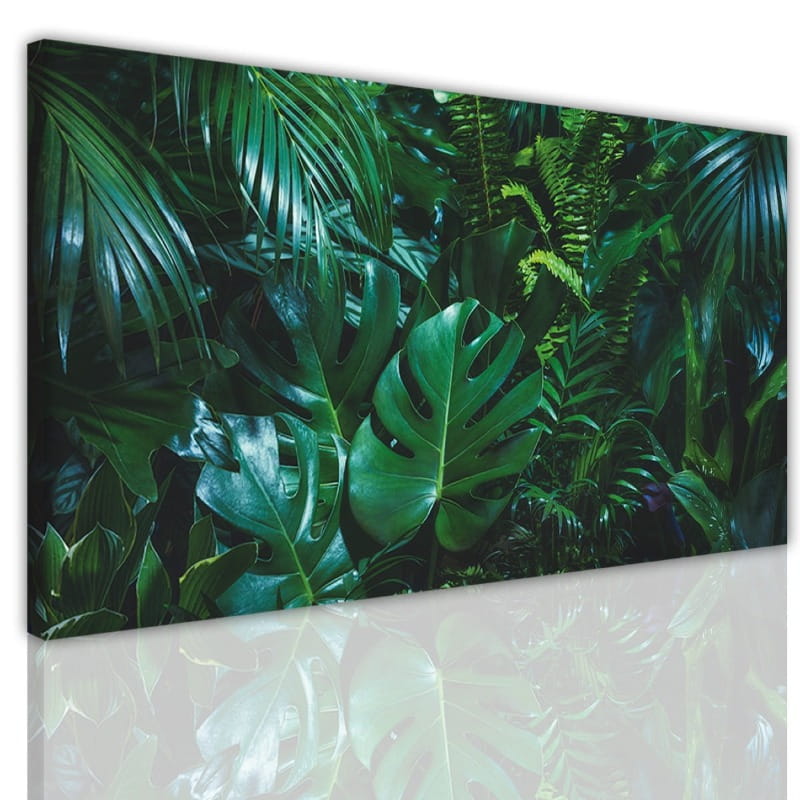 obraz canvas liście monstera